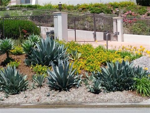 San Diego Landscaping Services